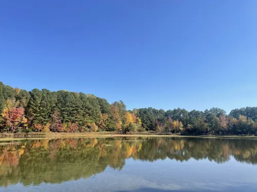 10 Best Trails And Hikes In Hampton | AllTrails