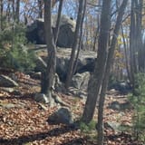 Lincoln Woods Trail, Rhode Island - 1,540 Reviews, Map | AllTrails