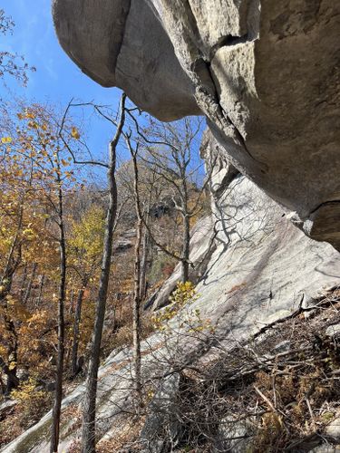 Photos of Eagle Rock via Weed Patch Mountain Trail and Tunnel