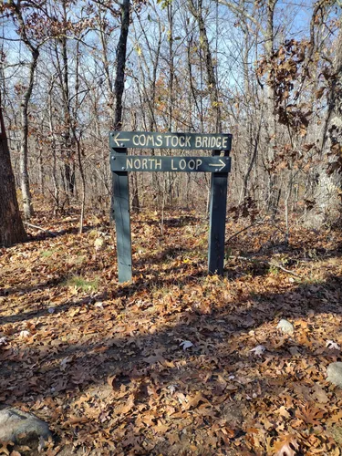 2023 Best River Trails in North Westchester | AllTrails