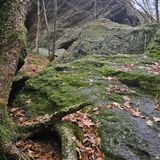 Indian Council Caves Trail, Connecticut - 817 Reviews, Map | AllTrails