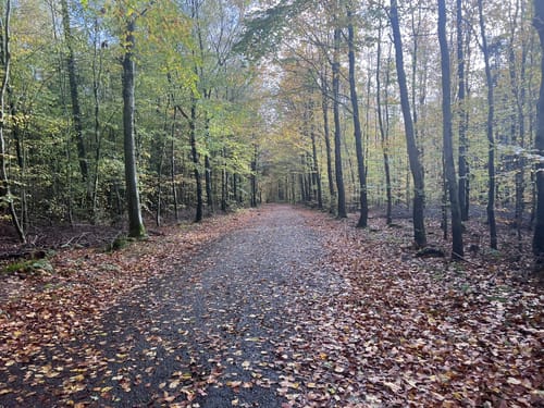 Gemmenich - Preuswald