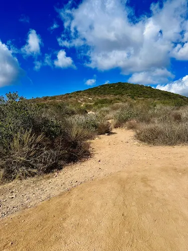 2023 Best Camping Trails in Mission - EyJidWNrZXQiOiJhc3NldHMuYWxsdHJhaWxzLmNvbSIsImtleSI6InVwbG9hZHMvcGhvdG8vaW1hZ2UvNjc4MzcxODUvMzBiMGExYjA0MWI3M2Y2YTZmYTcyYzU0OWUxNzQxMDkuanBnIiwiZWRpdHMiOnsidG9Gb3JtYXQiOiJ3ZWJwIiwicmVzaXplIjp7IndpZHRoIjo1MDAsImhlaWdodCI6NTAwLCJmaXQiOiJpbnNpZGUifSwicm90YXRlIjpudWxsLCJqcGVnIjp7InRyZWxsaXNRdWFudGlzYXRpb24iOnRydWUsIm92ZXJzaG9vdERlcmluZ2luZyI6dHJ1ZSwib3B0aW1pc2VTY2FucyI6dHJ1ZSwicXVhbnRpc2F0aW9uVGFibGUiOjN9fX0=