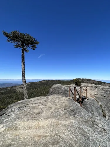 Nahuelbuta National Park and the Araucaria trees