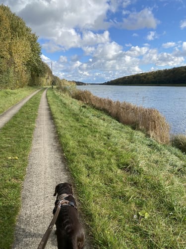 Rund um den Wittensee aus Bünsdorf