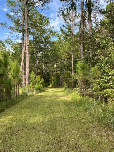 Best Hikes and Trails in Sawgrass Island Preserve | AllTrails