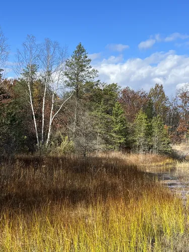 Port crescent state park hiking clearance trails