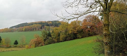 Vom Repetal nach Niederhelden
