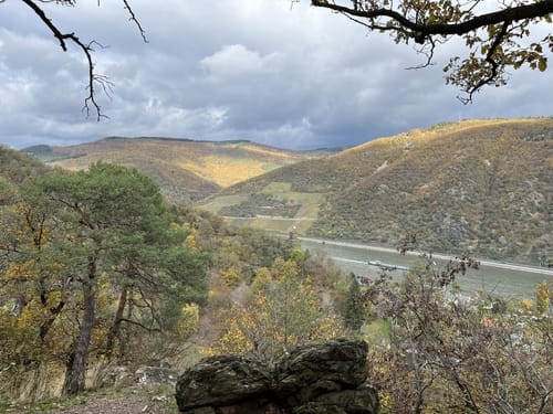 Morgenbachtal Rundweg ab Burg Rheinstein
