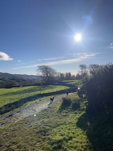 Photos of Low Moor Wood to Banishead Quarry - Cumbria, England