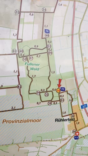 Provinzialmoor und Fullener Wald