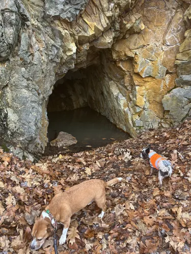 Dana Forest Gold Mine - NH Family Hikes