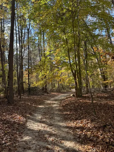 Best Hikes and Trails in Killens Pond State Park | AllTrails