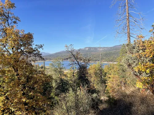 クロード・モネ、Road in the Forest of Fontainebl Goat Mountain Forest Road, California - 222 Reviews, Map