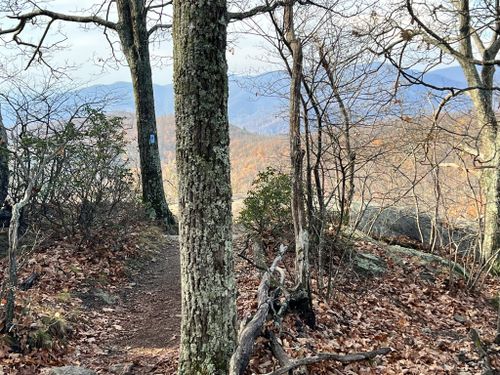 Old Rag Mountain via Weakley Hollow Fire Road, Virginia - 443 Reviews, Map