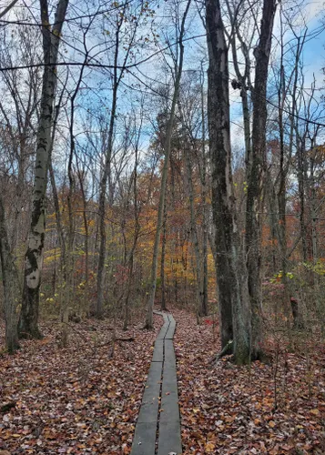 Best Hikes and Trails in Monocacy Hill Recreation Area | AllTrails