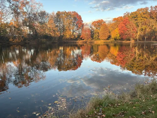 Best Hikes and Trails in Black Brook Park | AllTrails