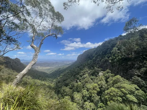 10 Best Hikes and Trails in Lamington National Park | AllTrails
