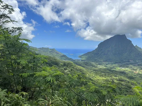 10 Best Trails and Hikes in Moorea | AllTrails