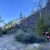 Valley forge trail clearance camp