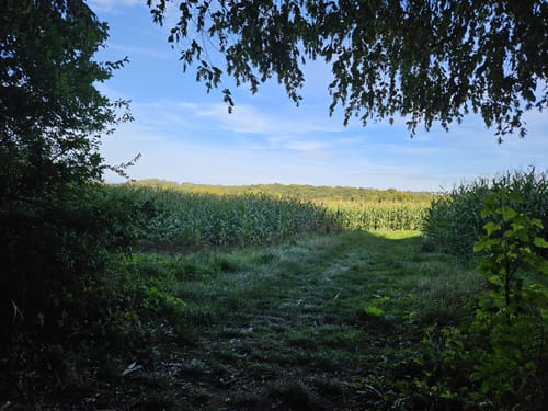 Quellenweg Alme