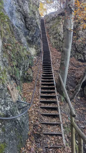 Best Historic Site Trails in Bled