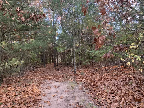 Best Hikes and Trails in Sand Ridge State Forest | AllTrails