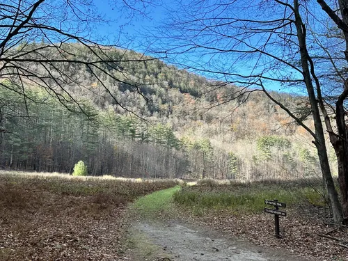 Mohawk trail shop state forest camping