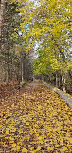 Harbor Views: 5 Beautiful Hiking Trails in Beverly – Massachusetts