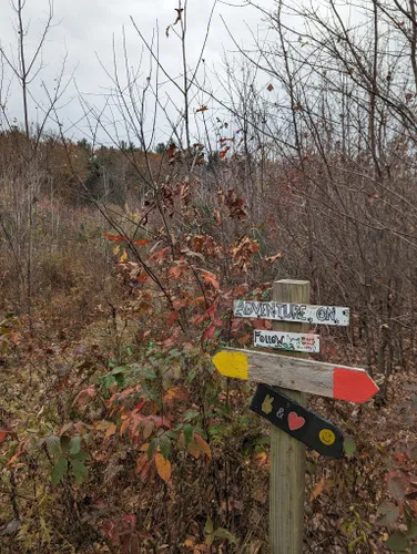 Carlstrom Memorial Forest