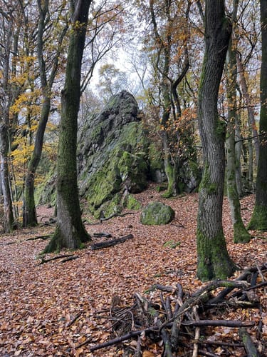 Rheinsteig Etappe 21: Schlangenbad - Wiesbaden