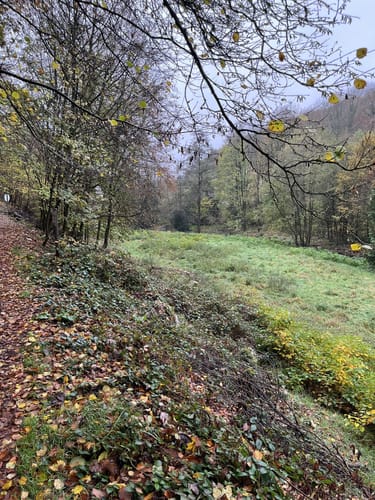 Rheinsteig Etappe 21: Schlangenbad - Wiesbaden