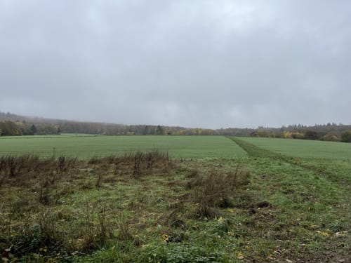 Rheinsteig Etappe 21: Schlangenbad - Wiesbaden