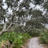 Coastal Strand Trail, Florida - 209 Reviews, Map | AllTrails