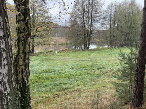 Lesefährte Waldweisen