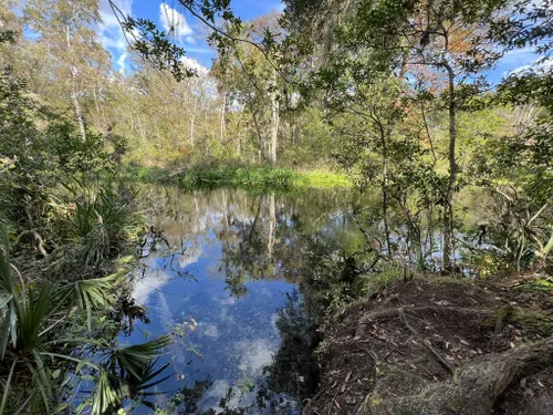 Best Hikes and Trails in Ichetucknee Springs State Park | AllTrails