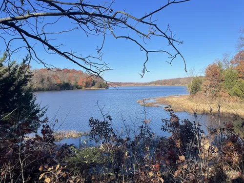 10 Best Hikes and Trails in Shawnee Mission Park | AllTrails