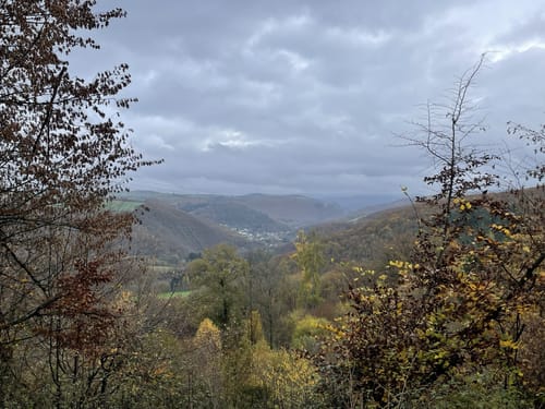 Saar-Hunsrück-Steig Etappe 14: Herrstein - Forellenhof Reinhardtsmühle