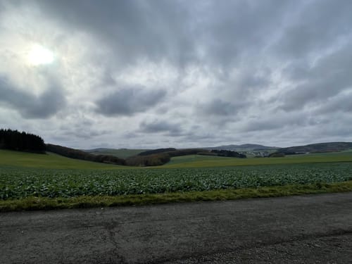 Saar-Hunsrück-Steig Etappe 14: Herrstein - Forellenhof Reinhardtsmühle