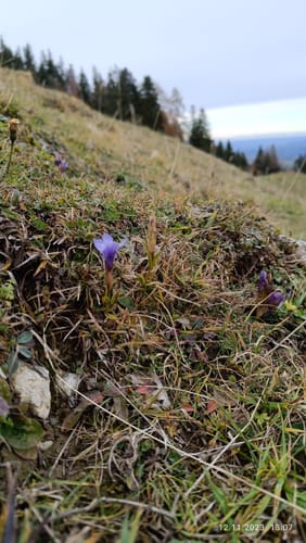 Rund um den Heuberg