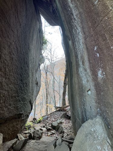 Weed Patch Mountain Trail Hike: Eagle Rock & The Tunnel - Conserving  Carolina