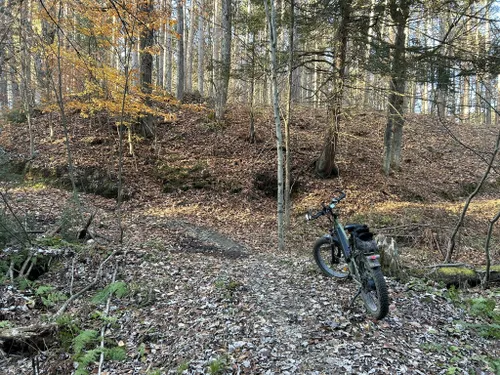 Larose forest bike discount trails