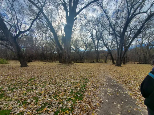 Best Hikes and Trails in Hidden - EyJidWNrZXQiOiJhc3NldHMuYWxsdHJhaWxzLmNvbSIsImtleSI6InVwbG9hZHMvcGhvdG8vaW1hZ2UvNjc5ODI2OTYvMWZmZTU5MjRjNDg1MDIzMTM3OWFjOTQ5MDY3MDNlMWIuanBnIiwiZWRpdHMiOnsidG9Gb3JtYXQiOiJ3ZWJwIiwicmVzaXplIjp7IndpZHRoIjo1MDAsImhlaWdodCI6NTAwLCJmaXQiOiJpbnNpZGUifSwicm90YXRlIjpudWxsLCJqcGVnIjp7InRyZWxsaXNRdWFudGlzYXRpb24iOnRydWUsIm92ZXJzaG9vdERlcmluZ2luZyI6dHJ1ZSwib3B0aW1pc2VTY2FucyI6dHJ1ZSwicXVhbnRpc2F0aW9uVGFibGUiOjN9fX0=