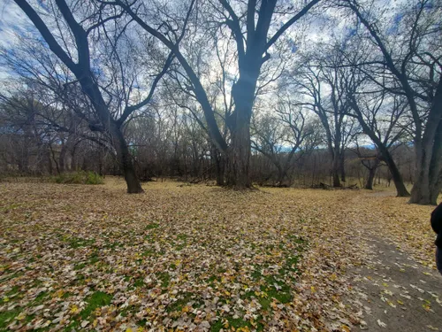 Best Hikes and Trails in Hidden - EyJidWNrZXQiOiJhc3NldHMuYWxsdHJhaWxzLmNvbSIsImtleSI6InVwbG9hZHMvcGhvdG8vaW1hZ2UvNjc5ODI3MDQvYmIxMWFhNjY1YTNiMDM1YmNlYWUxYTczMjFmZGFmODIuanBnIiwiZWRpdHMiOnsidG9Gb3JtYXQiOiJ3ZWJwIiwicmVzaXplIjp7IndpZHRoIjo1MDAsImhlaWdodCI6NTAwLCJmaXQiOiJpbnNpZGUifSwicm90YXRlIjpudWxsLCJqcGVnIjp7InRyZWxsaXNRdWFudGlzYXRpb24iOnRydWUsIm92ZXJzaG9vdERlcmluZ2luZyI6dHJ1ZSwib3B0aW1pc2VTY2FucyI6dHJ1ZSwicXVhbnRpc2F0aW9uVGFibGUiOjN9fX0=