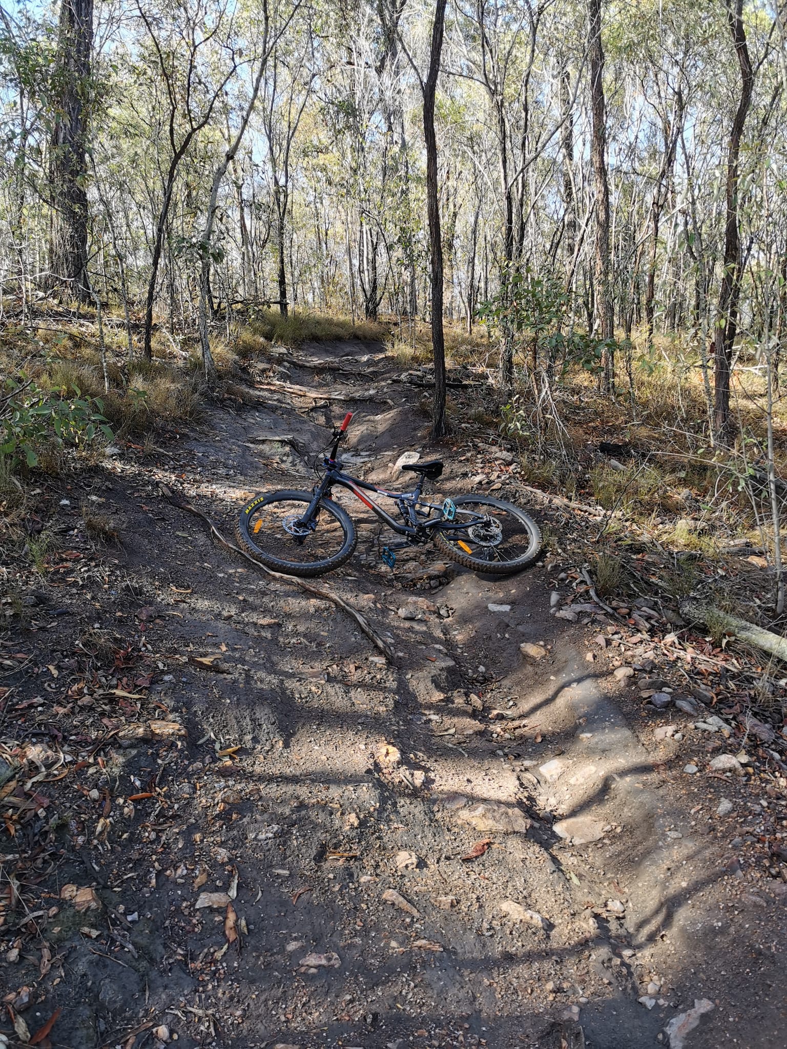 Castle hill best sale mountain bike tracks