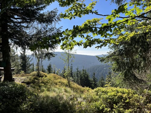 Gipfelwanderweg ab Goldlauter