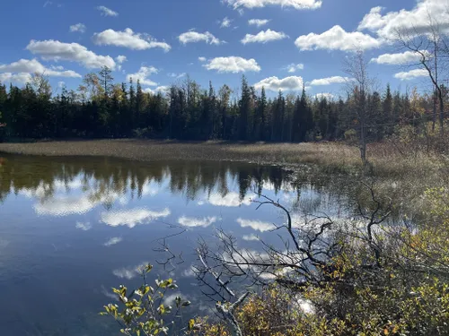 10 Best Hikes and Trails in MacGregor Point Provincial Park | AllTrails