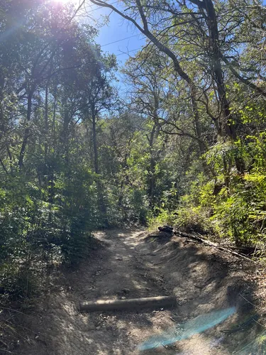 Cameron park bike store trails