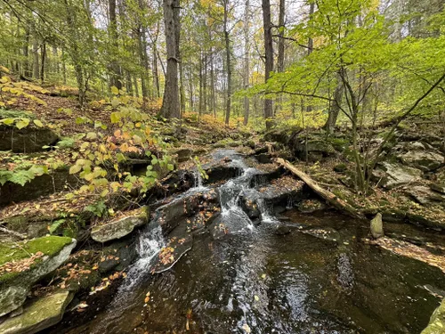 Best 10 Hiking Trails in Tunxis State Forest | AllTrails