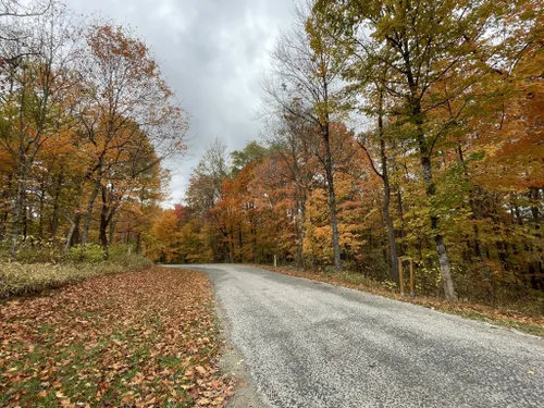 10 Best Hikes And Trails In Hocking State Forest 